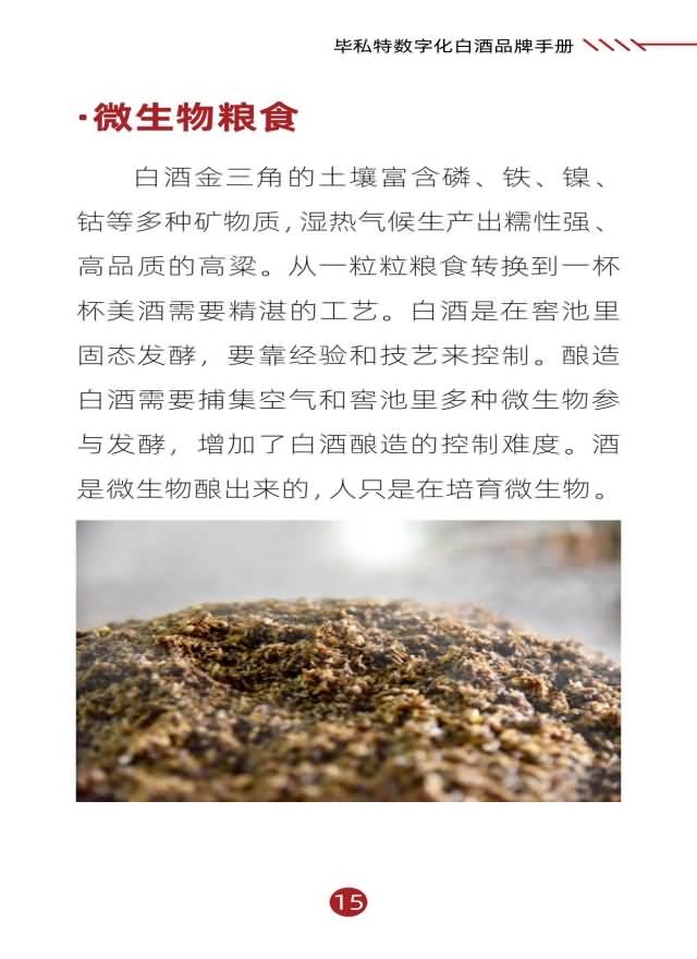 毕私特数字化白酒品牌手册 移动端_15.jpg